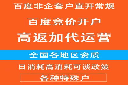 百度搜索推广实战经验：经典案例启示录
